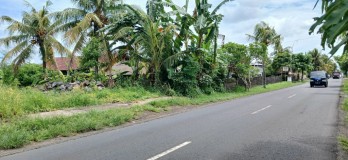 Disewakan tanah 4 are di Marga Tabanan Bali