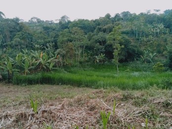 Lahan Luas Sangat Murah Utk Usaha Pertanian Atau Kebun Di Pasuruan