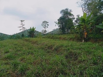 Lahan Luas Sangat Murah Utk Usaha Pertanian Atau Kebun Di Pasuruan