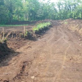 PROMO TANAH KAVLING HARGA BAIK DI PAKIS KABUPATEN MALANG.