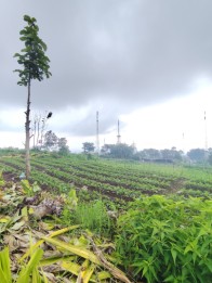 Tanah Kavling Luas View Pegunungan Strategis di Kota Batu