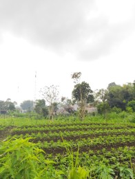 Tanah Kavling Luas View Pegunungan Strategis di Kota Batu