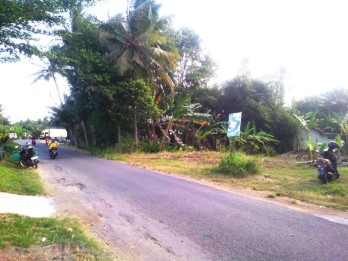 Tanah Mangku Jalan di Wates Kulon progo Yogyakarta