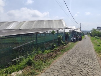 Tanah Murah Pemandangan Terbaik Sejuk Segar Untuk