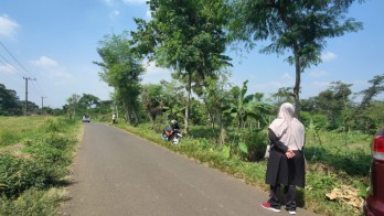 Tanah Super Luas Termurah Dikawasannya Subur Akses Mudah Di Pasuruan