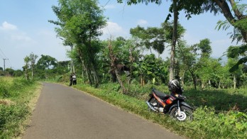 Tanah Super Luas Termurah Dikawasannya Subur Akses Mudah Di Pasuruan