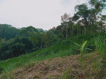 Tanah Super Murah Luas 2 Lokasi Strategis di Nongkojajar Pasuruan