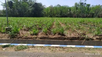 Tanah dekat PT Pindad malang(Madewo apples)