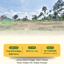 Tanah dijual di malang Wajak