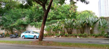 Dijual Kavling Komersial di Jln. Bayangkara