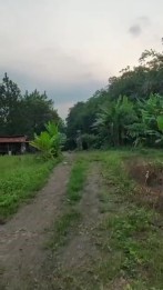 Dijual Kavling di Curug - Bojong Nangka, Legok, Tangerang