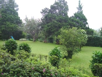 Dijual Kavling di Jl.Raya Puncak - Gadog, Ciloto,Cipanas,Puncak,Jawa Barat