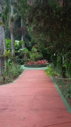 Dijual Tanah dan Bangunan di Jln. Inpres, Bojongkerta, Bogor Selatan