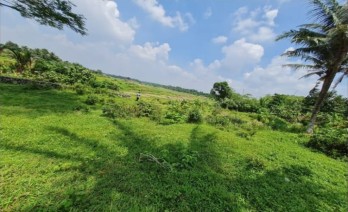 Dijual Tanah di Jl. Raya Dago, Kebasiran, Kec. Parung Panjang, Kab. Bogor