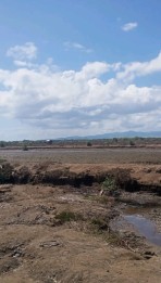 Disewakan tanah tambak di Empang Sumbawa NTB