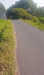 Edisi BU Tanah Super Murah Zona Kuning Strategis di Pacet Mojokerto