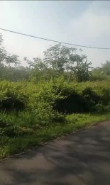 Edisi BU Tanah Super Murah Zona Kuning Strategis di Pacet Mojokerto