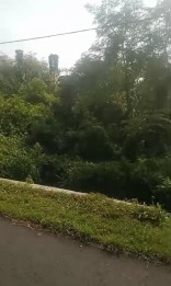 Lahan Kuning Murah Meriah Poros Jalan Raya Kabupate Mojokerto