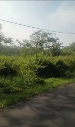 Lahan Kuning Murah Meriah Poros Jalan Raya Kabupate Mojokerto