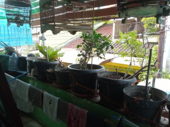 Rumah mungil strategis
