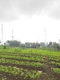 TANAH KAVLING SETRATEGIS HARGA ISTIMEWA DI ORO ORO OMBO KOTA BATU.