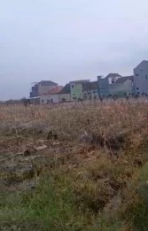 TANAH SAWAH SETRATEGIS HARGA ISTIMEWA DI KARANGPLOSO MALANG.