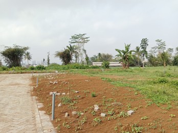 Tanah Pakis