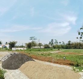 Tanah Pakis
