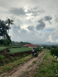 Tanah luas cocok untuk pertanian, subur, akses mobil Kota Batu