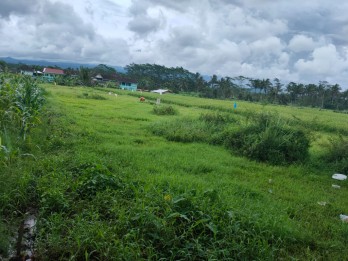 Tanah luas super strategis di Kepanjen Kab Malang
