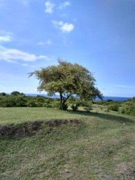Dijual tanah los pantai Lombok Utara Bayan Sambik Elen NTB