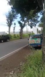 Tanah Poros Jalan Cocok Dikembangkan Sebagai Usaha Di Kab Malang