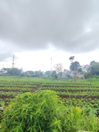 Tanah luas dekat kebun view pegunungan di Jalibar Oro Oro Ombo, Batu