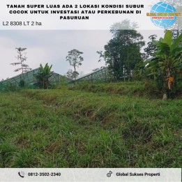 Tanah luas di 2 lokasi dan desa yang sama, Kec