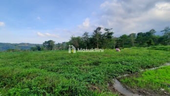 5 Menit ke Exit Tol! Tanah Murah SHM di Tanjung Arum, Pandaan-Sukorejo