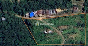 Dijual Kebun Alpukat Produktif Di Sukasada Buleleng Bali