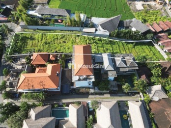 Disewakan Tanah di Canggu Area Villa Sangat STRATEGIS Tenang & Alami Direct