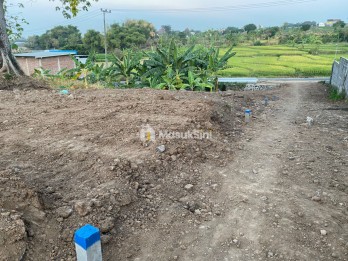 Tanah Pekarangan Candi Wates, 0 Jalan Desa, View Sawah! Hanya 80 Jutaan!