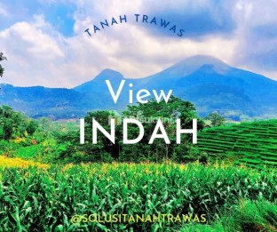 Tanah di Trawas Serasa di Ubud Bali, Harga 550 ribu/meter