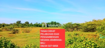 Dijual Tanah 9901 m2 Pengambengan Negara Jembrana Bali