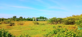 Dijual Tanah 9901 m2 Pengambengan Negara Jembrana Bali