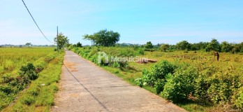 Dijual Tanah 9901 m2 Pengambengan Negara Jembrana Bali