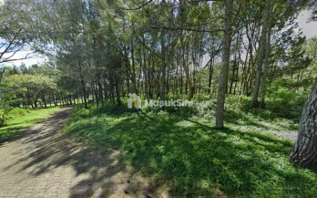Jual Tanah View Pegunungan Jl Anggur Kota Batu