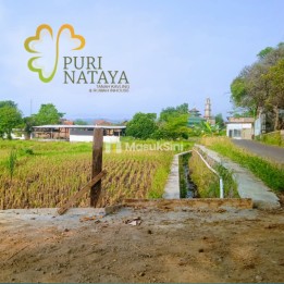 Rumah Halal Tanpa Riba, Cicilan Langsung ke