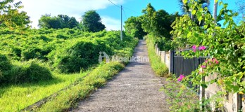 Tanah 2500 M2 Dkt Muara Pantai Pengambengan Negara Jembrana Bali