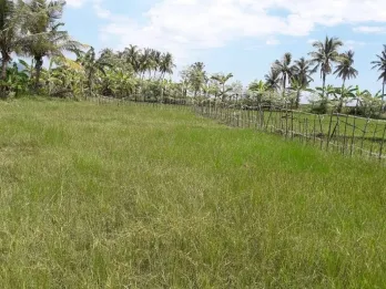 Di Jual / Di Sewakan Tanah SHM (For Sale / For Rent)SHM