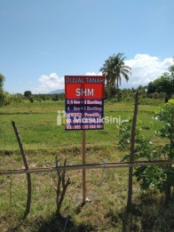 BIG SALE !!! Tanah Sangat Strategis Kavling SHM Di Pemenang Timur