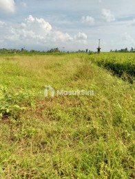 Dijual Cepat Tanah di Area Meliling, Bali — Harga Miring!