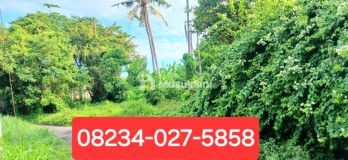 Dijual Tanah 3250 m2 Di Keramas Dkt Komaneka Dan Pantai