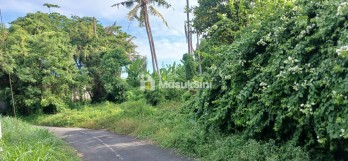 Dijual Tanah 3250 m2 Di Keramas Dkt Komaneka Dan Pantai